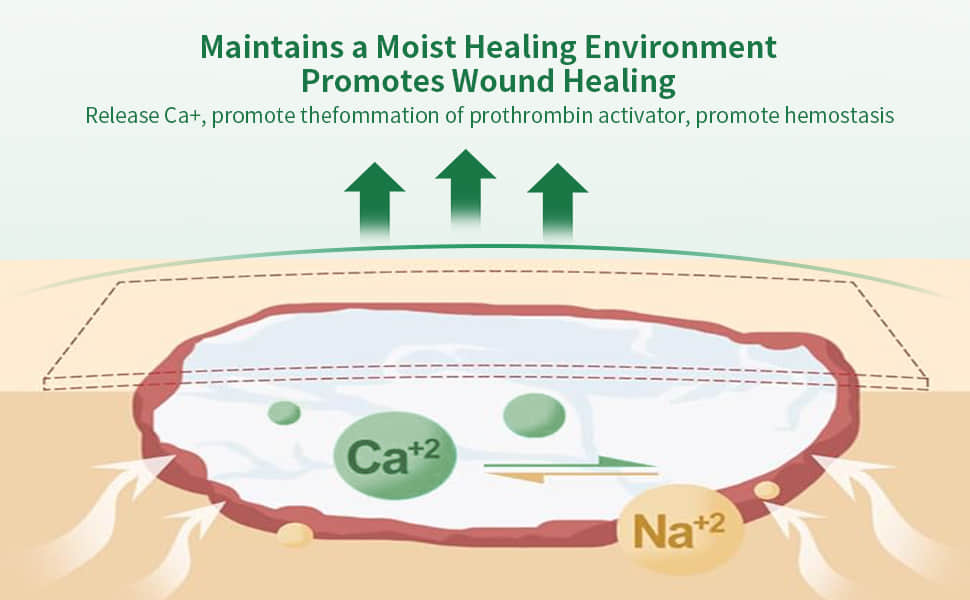 Calcium Alginate Wound Dressing Calcium Alginate Wound Dressing