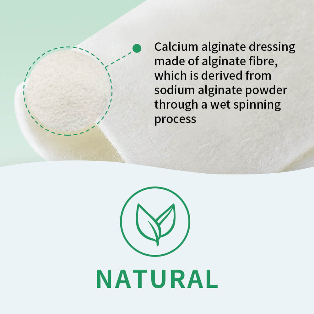 Calcium Alginate Wound Dressing